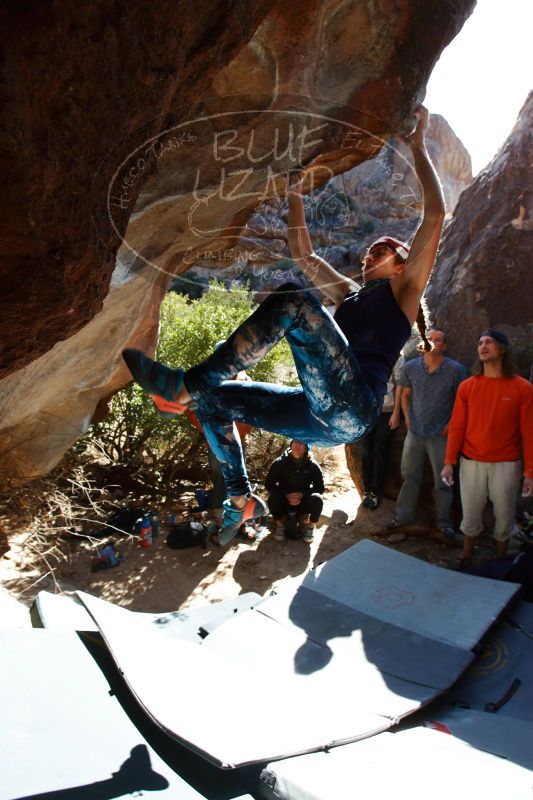 

Filename: SRM_20170104_1331211.jpg
Aperture: f/5.0
Shutter Speed: 1/500
Body: Canon EOS-1D Mark II
Lens: Canon EF 16-35mm f/2.8 L