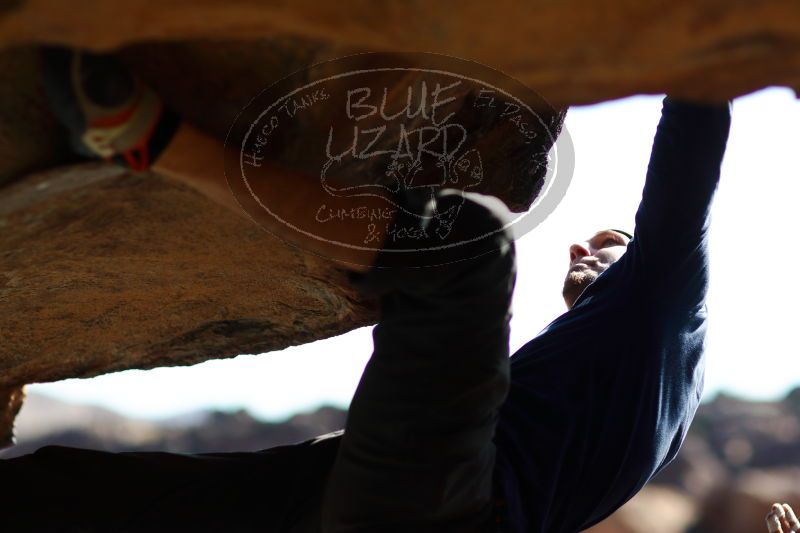 

Filename: SRM_20170104_1402100.jpg
Aperture: f/2.0
Shutter Speed: 1/5000
Body: Canon EOS-1D Mark II
Lens: Canon EF 85mm f/1.2 L II