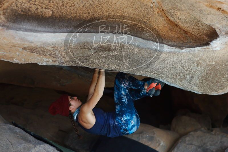 

Filename: SRM_20170104_1403502.jpg
Aperture: f/2.8
Shutter Speed: 1/400
Body: Canon EOS-1D Mark II
Lens: Canon EF 85mm f/1.2 L II