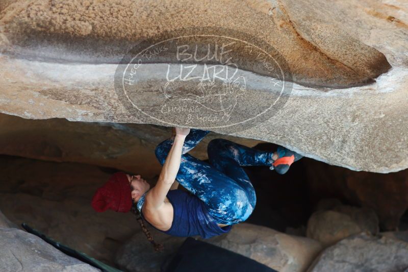 

Filename: SRM_20170104_1403532.jpg
Aperture: f/2.8
Shutter Speed: 1/400
Body: Canon EOS-1D Mark II
Lens: Canon EF 85mm f/1.2 L II