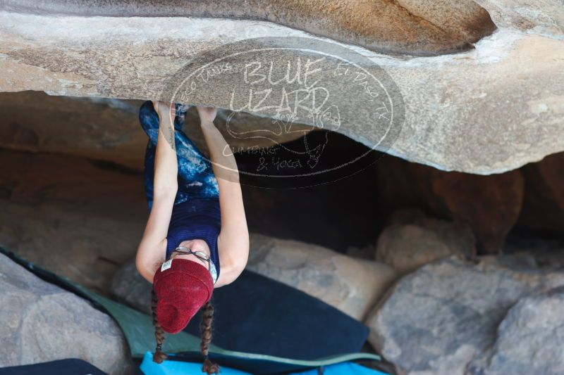 

Filename: SRM_20170104_1404021.jpg
Aperture: f/2.8
Shutter Speed: 1/320
Body: Canon EOS-1D Mark II
Lens: Canon EF 85mm f/1.2 L II