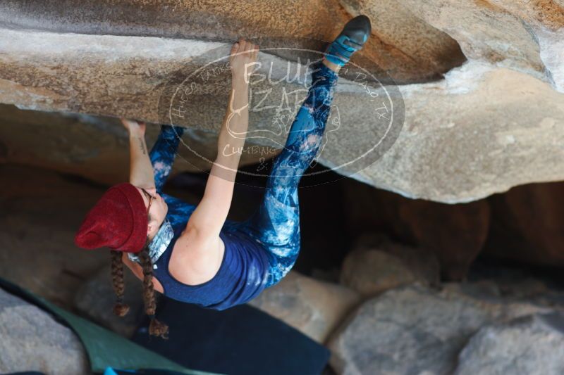 

Filename: SRM_20170104_1404070.jpg
Aperture: f/2.8
Shutter Speed: 1/400
Body: Canon EOS-1D Mark II
Lens: Canon EF 85mm f/1.2 L II