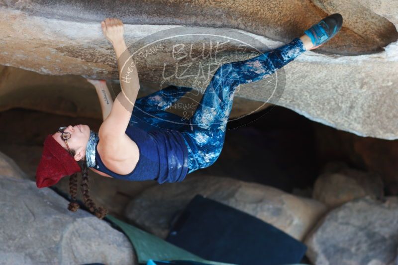 

Filename: SRM_20170104_1404112.jpg
Aperture: f/2.8
Shutter Speed: 1/400
Body: Canon EOS-1D Mark II
Lens: Canon EF 85mm f/1.2 L II