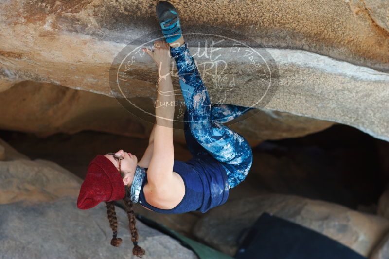 

Filename: SRM_20170104_1404141.jpg
Aperture: f/2.8
Shutter Speed: 1/400
Body: Canon EOS-1D Mark II
Lens: Canon EF 85mm f/1.2 L II