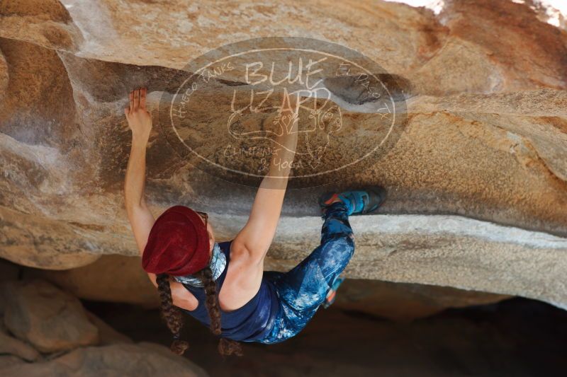 

Filename: SRM_20170104_1404250.jpg
Aperture: f/2.8
Shutter Speed: 1/500
Body: Canon EOS-1D Mark II
Lens: Canon EF 85mm f/1.2 L II