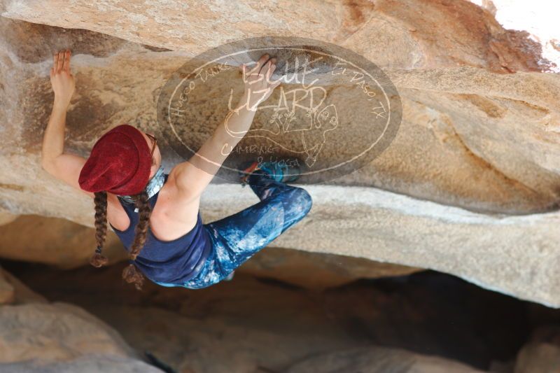 

Filename: SRM_20170104_1404282.jpg
Aperture: f/2.8
Shutter Speed: 1/500
Body: Canon EOS-1D Mark II
Lens: Canon EF 85mm f/1.2 L II