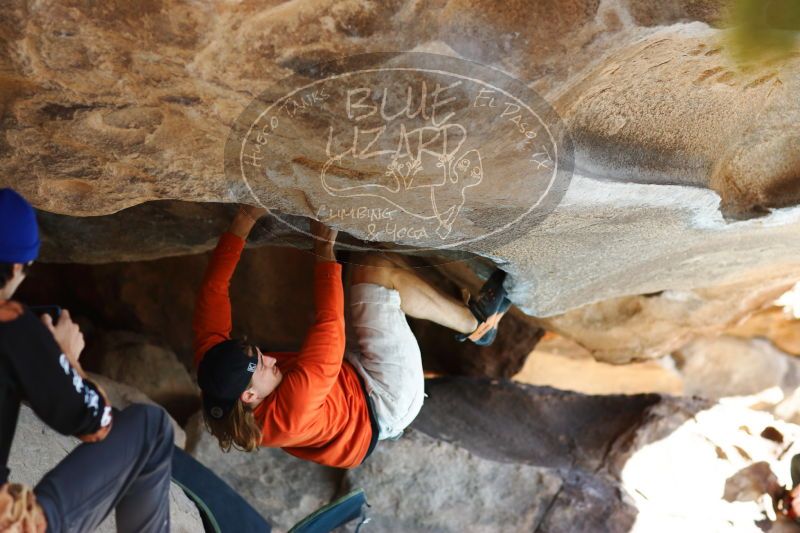 

Filename: SRM_20170104_1409060.jpg
Aperture: f/2.8
Shutter Speed: 1/640
Body: Canon EOS-1D Mark II
Lens: Canon EF 85mm f/1.2 L II