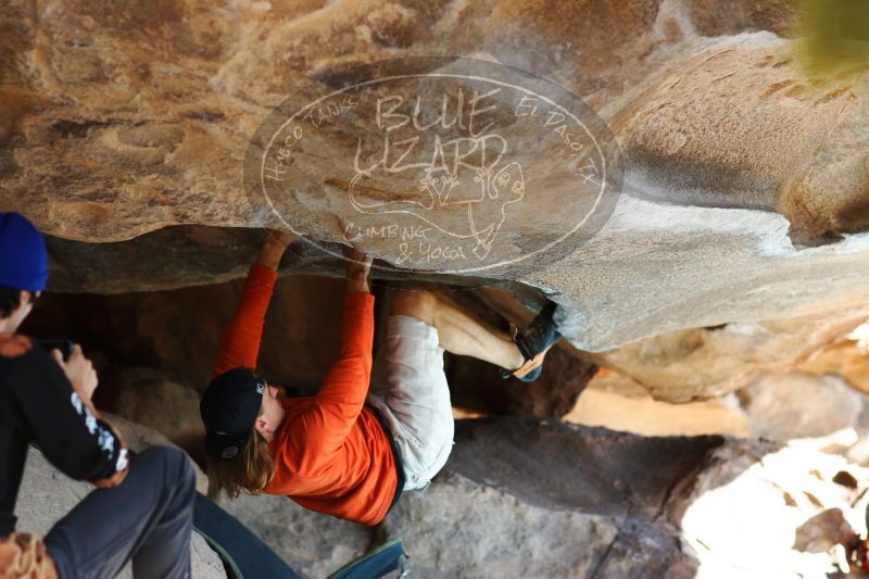 

Filename: SRM_20170104_1409061.jpg
Aperture: f/2.8
Shutter Speed: 1/640
Body: Canon EOS-1D Mark II
Lens: Canon EF 85mm f/1.2 L II