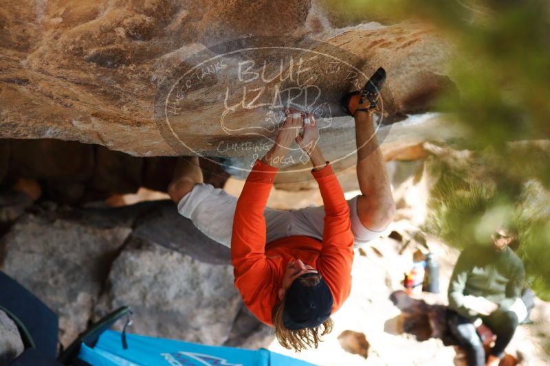 

Filename: SRM_20170104_1409430.jpg
Aperture: f/2.8
Shutter Speed: 1/800
Body: Canon EOS-1D Mark II
Lens: Canon EF 85mm f/1.2 L II