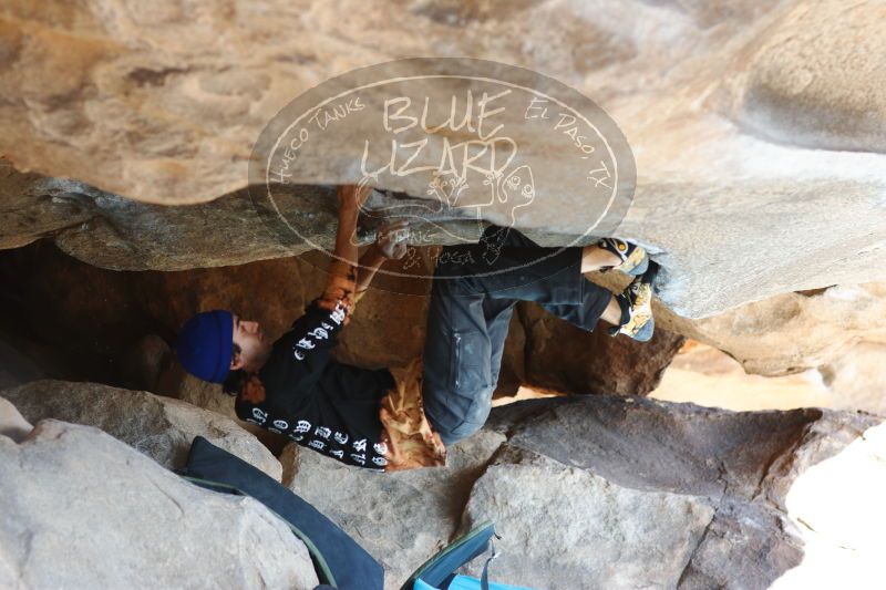 

Filename: SRM_20170104_1411131.jpg
Aperture: f/2.8
Shutter Speed: 1/400
Body: Canon EOS-1D Mark II
Lens: Canon EF 85mm f/1.2 L II