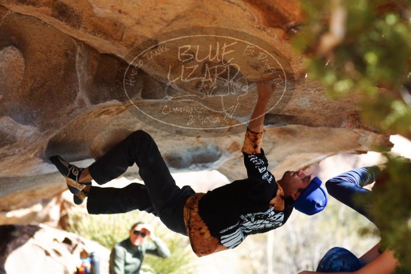 

Filename: SRM_20170104_1411512.jpg
Aperture: f/2.8
Shutter Speed: 1/1250
Body: Canon EOS-1D Mark II
Lens: Canon EF 85mm f/1.2 L II