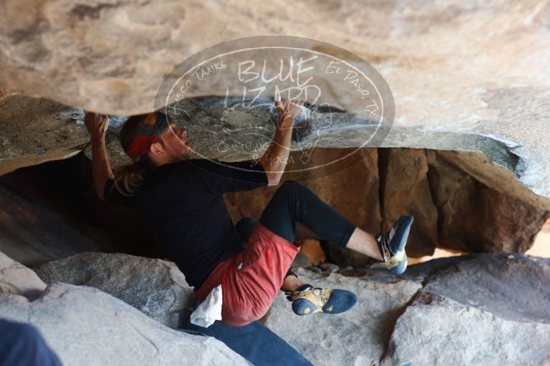 

Filename: SRM_20170104_1417030.jpg
Aperture: f/2.8
Shutter Speed: 1/400
Body: Canon EOS-1D Mark II
Lens: Canon EF 85mm f/1.2 L II