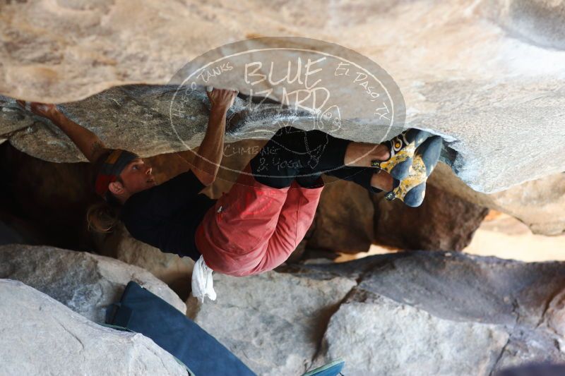 

Filename: SRM_20170104_1417041.jpg
Aperture: f/2.8
Shutter Speed: 1/400
Body: Canon EOS-1D Mark II
Lens: Canon EF 85mm f/1.2 L II