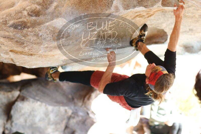 

Filename: SRM_20170104_1417370.jpg
Aperture: f/2.8
Shutter Speed: 1/400
Body: Canon EOS-1D Mark II
Lens: Canon EF 85mm f/1.2 L II