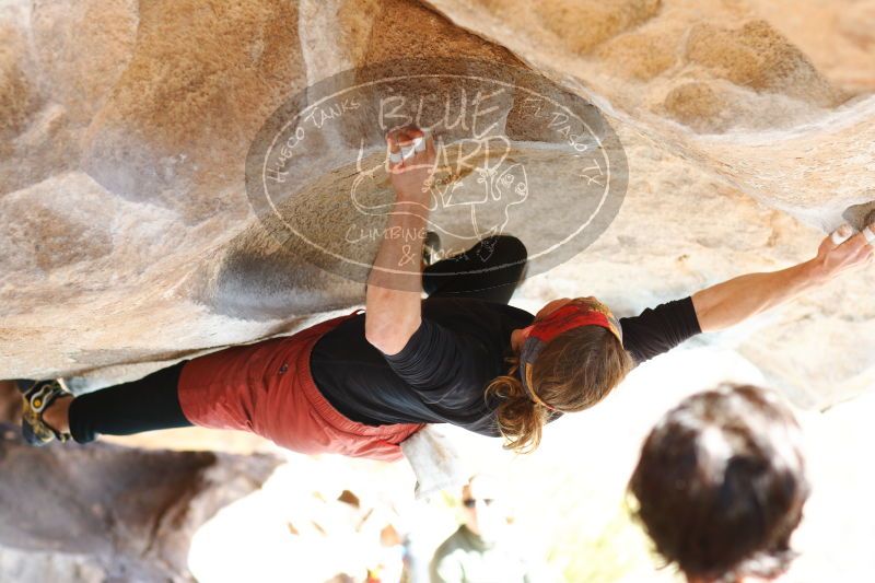 

Filename: SRM_20170104_1417420.jpg
Aperture: f/2.8
Shutter Speed: 1/400
Body: Canon EOS-1D Mark II
Lens: Canon EF 85mm f/1.2 L II