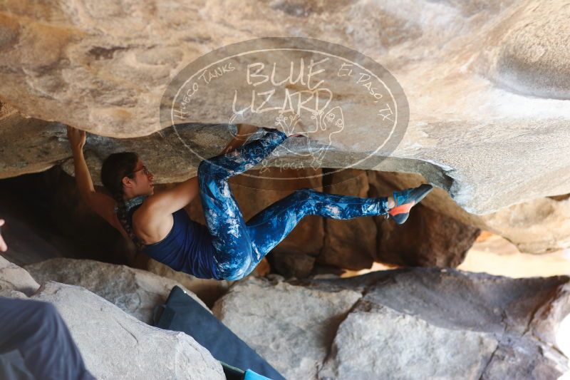 

Filename: SRM_20170104_1422560.jpg
Aperture: f/2.8
Shutter Speed: 1/400
Body: Canon EOS-1D Mark II
Lens: Canon EF 85mm f/1.2 L II