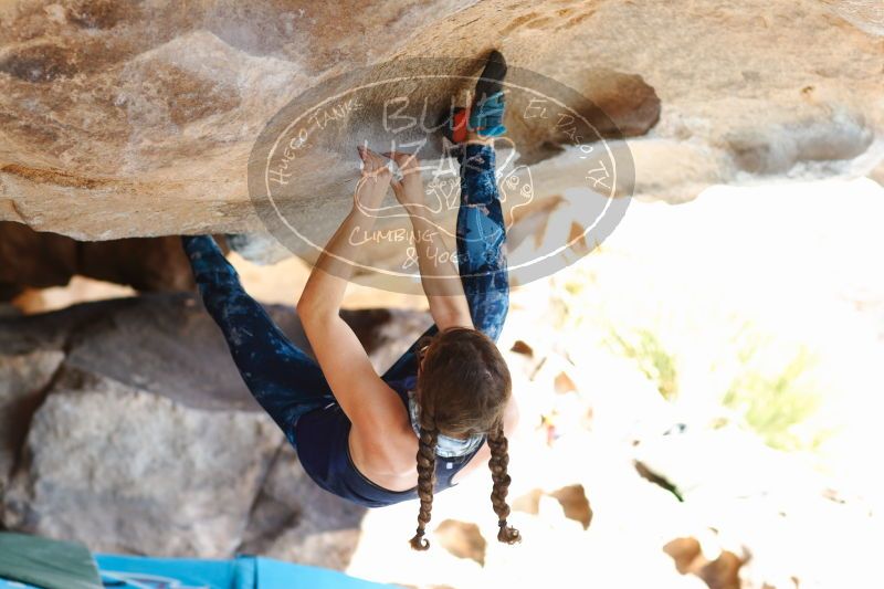 

Filename: SRM_20170104_1423230.jpg
Aperture: f/2.8
Shutter Speed: 1/400
Body: Canon EOS-1D Mark II
Lens: Canon EF 85mm f/1.2 L II