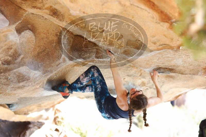 

Filename: SRM_20170104_1423361.jpg
Aperture: f/2.8
Shutter Speed: 1/400
Body: Canon EOS-1D Mark II
Lens: Canon EF 85mm f/1.2 L II