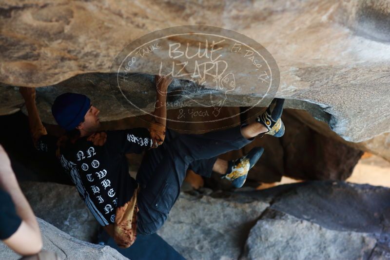 

Filename: SRM_20170104_1430150.jpg
Aperture: f/2.8
Shutter Speed: 1/400
Body: Canon EOS-1D Mark II
Lens: Canon EF 85mm f/1.2 L II