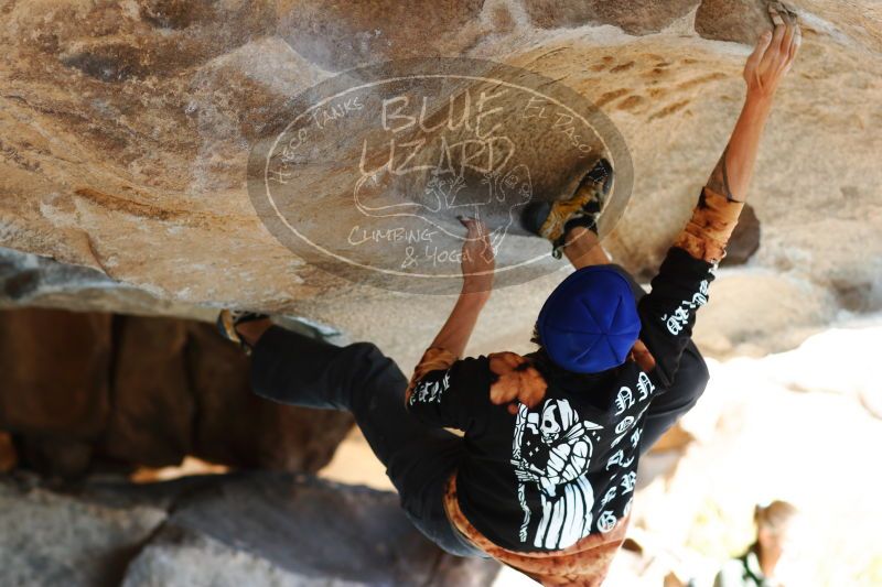 

Filename: SRM_20170104_1430461.jpg
Aperture: f/2.8
Shutter Speed: 1/400
Body: Canon EOS-1D Mark II
Lens: Canon EF 85mm f/1.2 L II