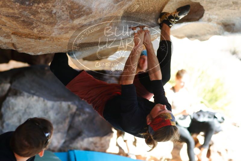 

Filename: SRM_20170104_1439320.jpg
Aperture: f/2.8
Shutter Speed: 1/400
Body: Canon EOS-1D Mark II
Lens: Canon EF 85mm f/1.2 L II