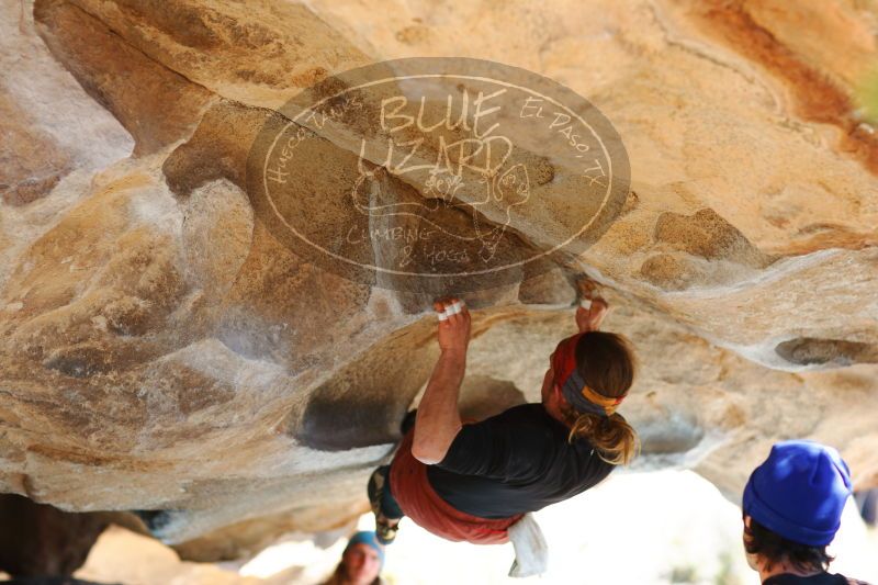 

Filename: SRM_20170104_1439461.jpg
Aperture: f/2.8
Shutter Speed: 1/400
Body: Canon EOS-1D Mark II
Lens: Canon EF 85mm f/1.2 L II