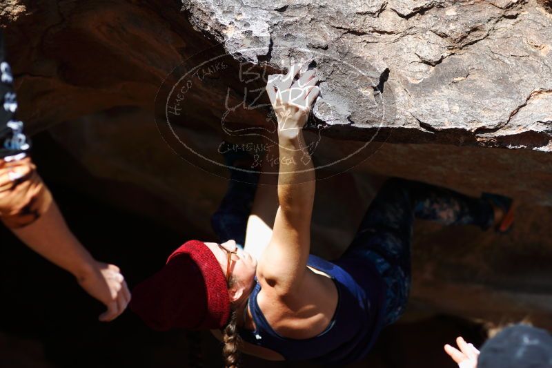 

Filename: SRM_20170104_1449142.jpg
Aperture: f/2.8
Shutter Speed: 1/1250
Body: Canon EOS-1D Mark II
Lens: Canon EF 85mm f/1.2 L II