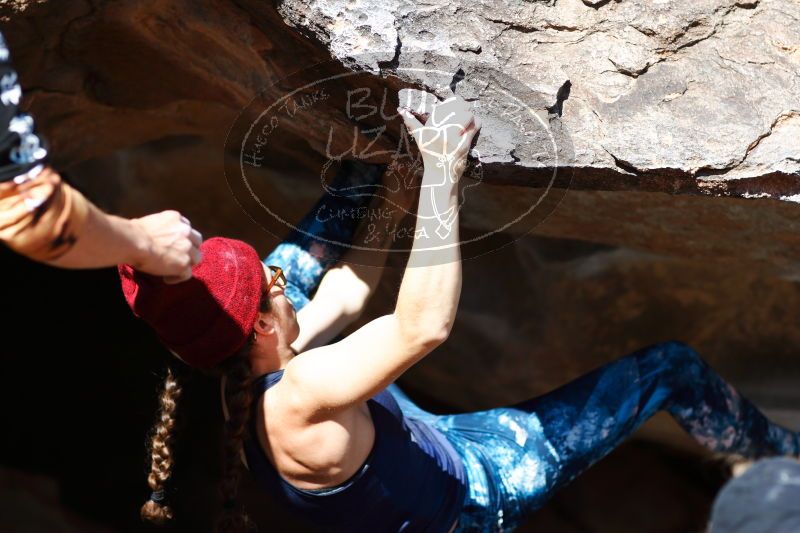 

Filename: SRM_20170104_1449181.jpg
Aperture: f/2.8
Shutter Speed: 1/1600
Body: Canon EOS-1D Mark II
Lens: Canon EF 85mm f/1.2 L II