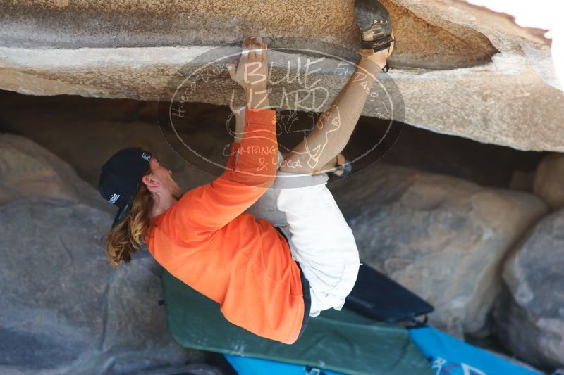 

Filename: SRM_20170104_1455040.jpg
Aperture: f/2.8
Shutter Speed: 1/320
Body: Canon EOS-1D Mark II
Lens: Canon EF 85mm f/1.2 L II