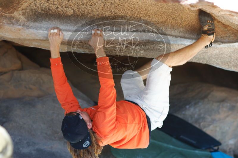 

Filename: SRM_20170104_1455101.jpg
Aperture: f/2.8
Shutter Speed: 1/320
Body: Canon EOS-1D Mark II
Lens: Canon EF 85mm f/1.2 L II