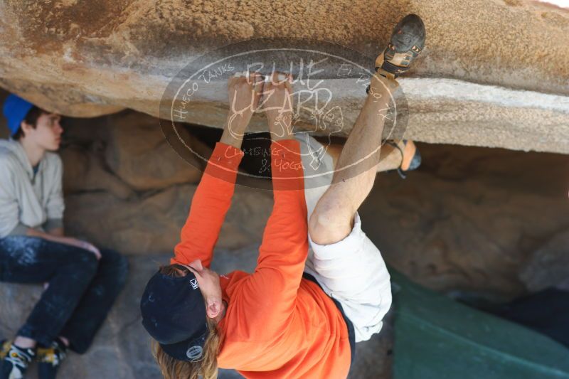 

Filename: SRM_20170104_1455210.jpg
Aperture: f/2.8
Shutter Speed: 1/320
Body: Canon EOS-1D Mark II
Lens: Canon EF 85mm f/1.2 L II