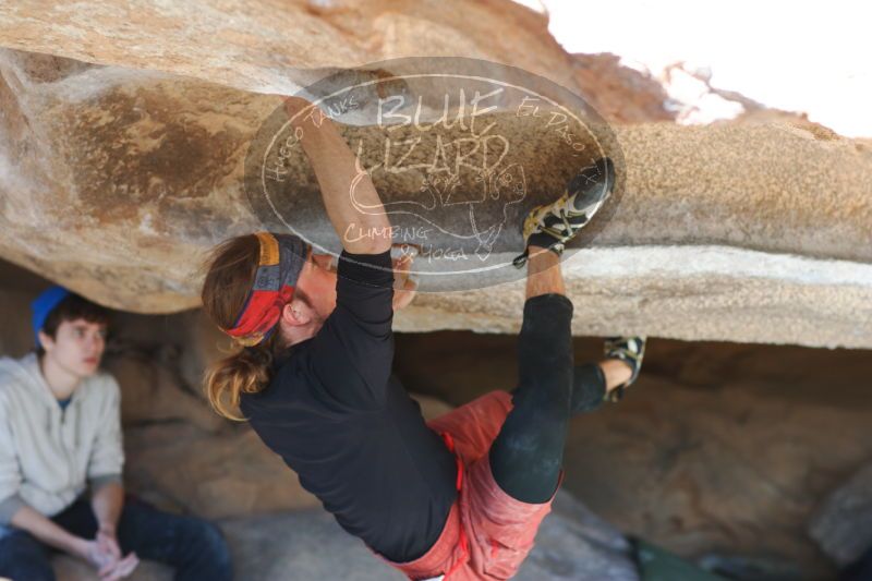 

Filename: SRM_20170104_1457392.jpg
Aperture: f/2.8
Shutter Speed: 1/250
Body: Canon EOS-1D Mark II
Lens: Canon EF 85mm f/1.2 L II