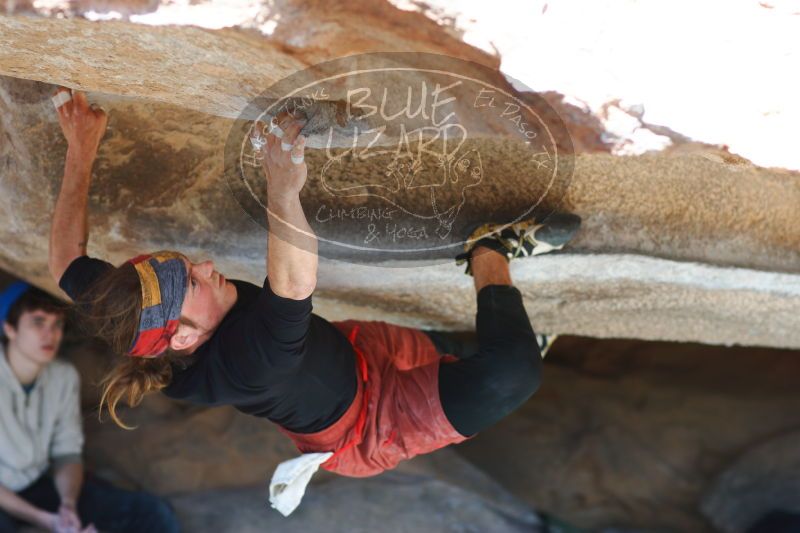 

Filename: SRM_20170104_1457470.jpg
Aperture: f/2.8
Shutter Speed: 1/320
Body: Canon EOS-1D Mark II
Lens: Canon EF 85mm f/1.2 L II