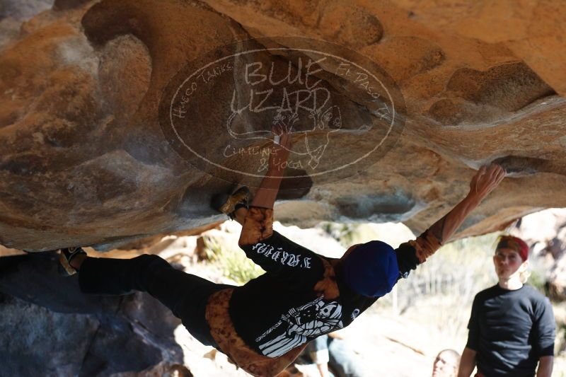 

Filename: SRM_20170104_1509430.jpg
Aperture: f/2.8
Shutter Speed: 1/1600
Body: Canon EOS-1D Mark II
Lens: Canon EF 50mm f/1.8 II