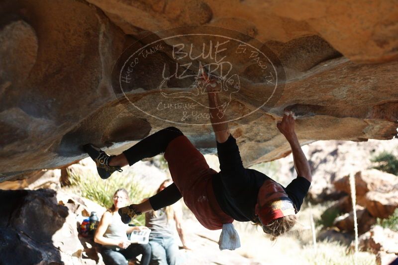 

Filename: SRM_20170104_1513480.jpg
Aperture: f/2.8
Shutter Speed: 1/2000
Body: Canon EOS-1D Mark II
Lens: Canon EF 50mm f/1.8 II