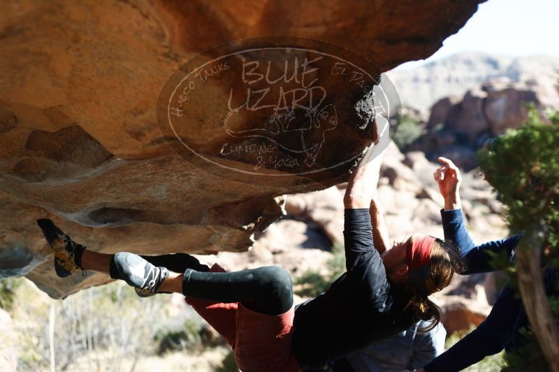 

Filename: SRM_20170104_1514200.jpg
Aperture: f/2.8
Shutter Speed: 1/2000
Body: Canon EOS-1D Mark II
Lens: Canon EF 50mm f/1.8 II