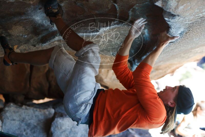 

Filename: SRM_20170104_1519170.jpg
Aperture: f/2.8
Shutter Speed: 1/500
Body: Canon EOS-1D Mark II
Lens: Canon EF 50mm f/1.8 II