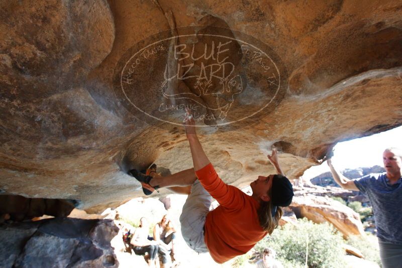 

Filename: SRM_20170104_1519510.jpg
Aperture: f/5.6
Shutter Speed: 1/250
Body: Canon EOS-1D Mark II
Lens: Canon EF 16-35mm f/2.8 L