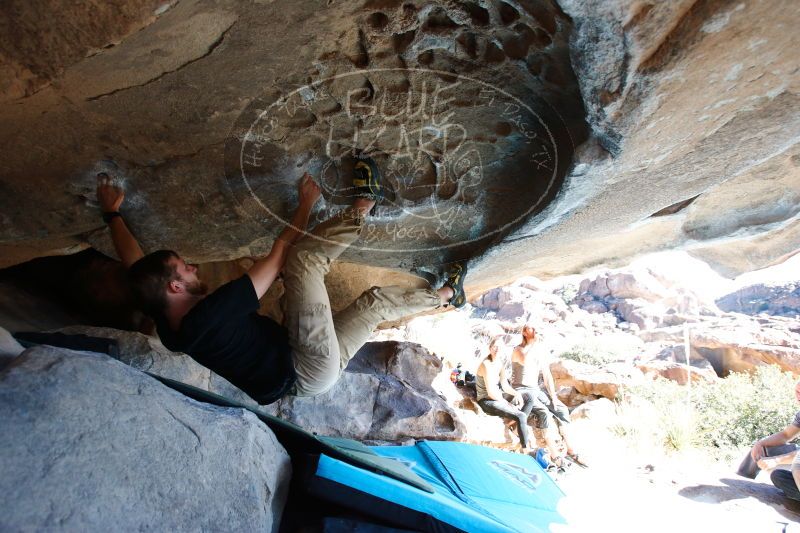 

Filename: SRM_20170104_1522161.jpg
Aperture: f/4.0
Shutter Speed: 1/320
Body: Canon EOS-1D Mark II
Lens: Canon EF 16-35mm f/2.8 L