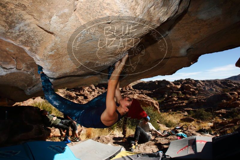 

Filename: SRM_20170104_1549230.jpg
Aperture: f/9.0
Shutter Speed: 1/250
Body: Canon EOS-1D Mark II
Lens: Canon EF 16-35mm f/2.8 L