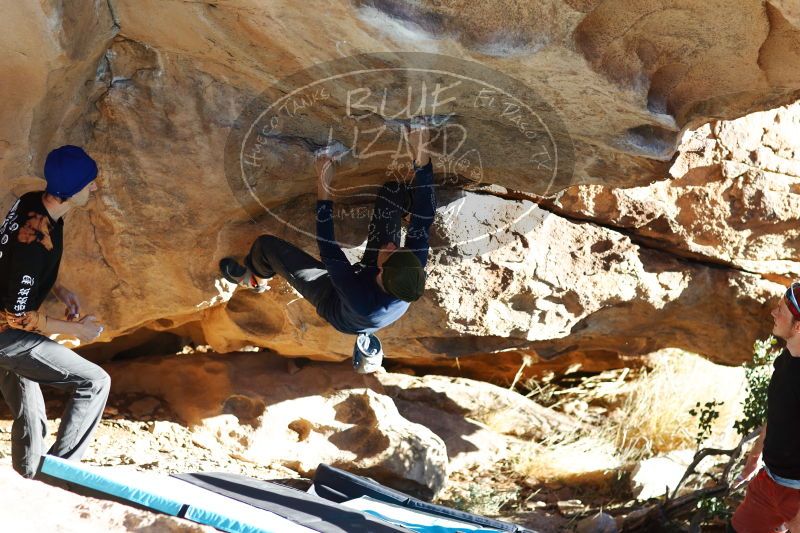 

Filename: SRM_20170104_1751581.jpg
Aperture: f/2.8
Shutter Speed: 1/400
Body: Canon EOS-1D Mark II
Lens: Canon EF 85mm f/1.2 L II