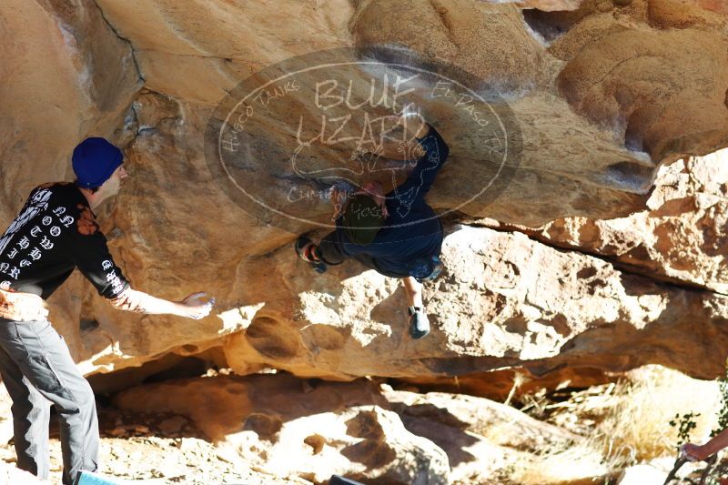 

Filename: SRM_20170104_1752051.jpg
Aperture: f/2.8
Shutter Speed: 1/400
Body: Canon EOS-1D Mark II
Lens: Canon EF 85mm f/1.2 L II