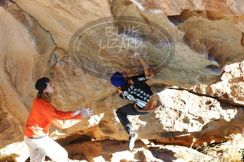 

Filename: SRM_20170104_1758120.jpg
Aperture: f/4.0
Shutter Speed: 1/500
Body: Canon EOS-1D Mark II
Lens: Canon EF 85mm f/1.2 L II