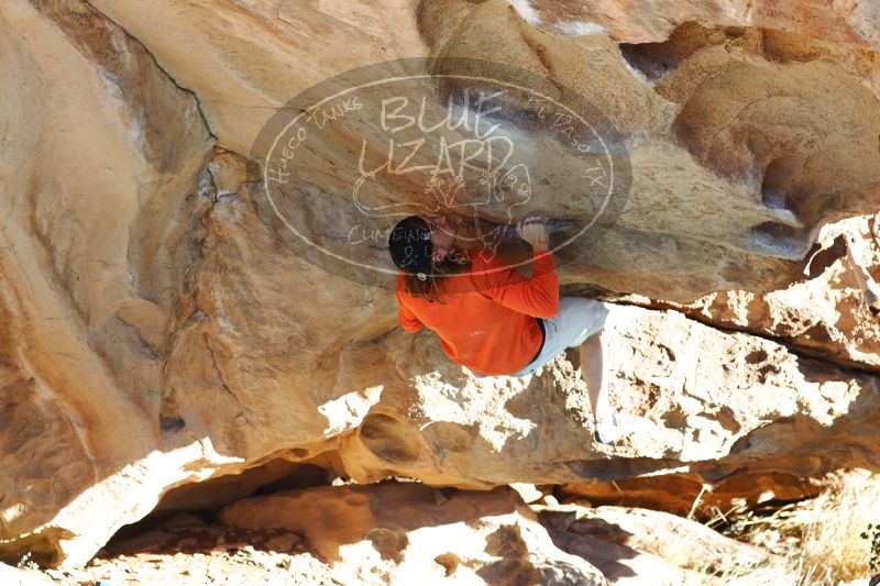 

Filename: SRM_20170104_1758590.jpg
Aperture: f/4.0
Shutter Speed: 1/500
Body: Canon EOS-1D Mark II
Lens: Canon EF 85mm f/1.2 L II