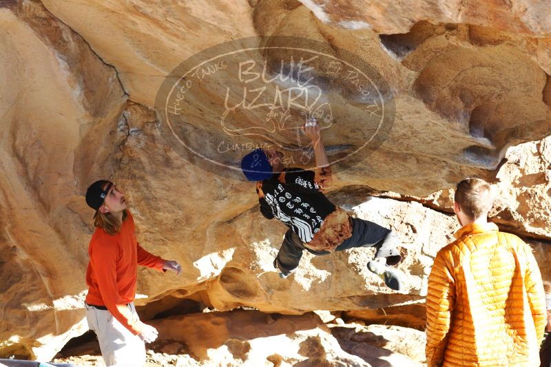 

Filename: SRM_20170104_1800330.jpg
Aperture: f/4.0
Shutter Speed: 1/500
Body: Canon EOS-1D Mark II
Lens: Canon EF 85mm f/1.2 L II