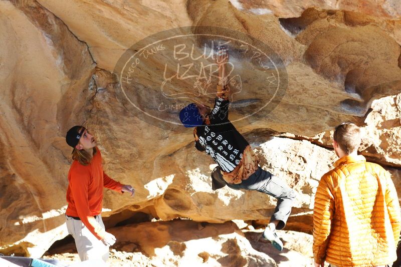 

Filename: SRM_20170104_1800331.jpg
Aperture: f/4.0
Shutter Speed: 1/500
Body: Canon EOS-1D Mark II
Lens: Canon EF 85mm f/1.2 L II