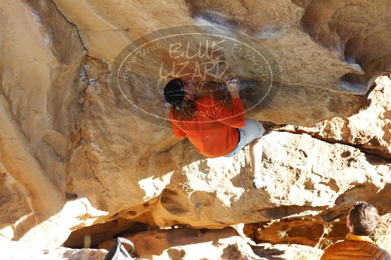 

Filename: SRM_20170104_1806411.jpg
Aperture: f/4.0
Shutter Speed: 1/500
Body: Canon EOS-1D Mark II
Lens: Canon EF 85mm f/1.2 L II