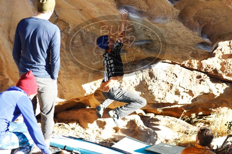 

Filename: SRM_20170104_1809042.jpg
Aperture: f/4.0
Shutter Speed: 1/500
Body: Canon EOS-1D Mark II
Lens: Canon EF 85mm f/1.2 L II