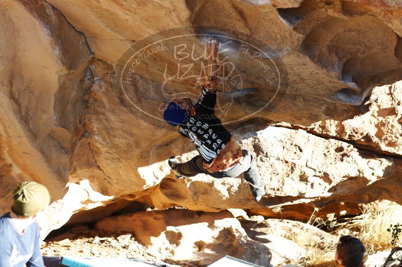 

Filename: SRM_20170104_1812392.jpg
Aperture: f/4.0
Shutter Speed: 1/500
Body: Canon EOS-1D Mark II
Lens: Canon EF 85mm f/1.2 L II