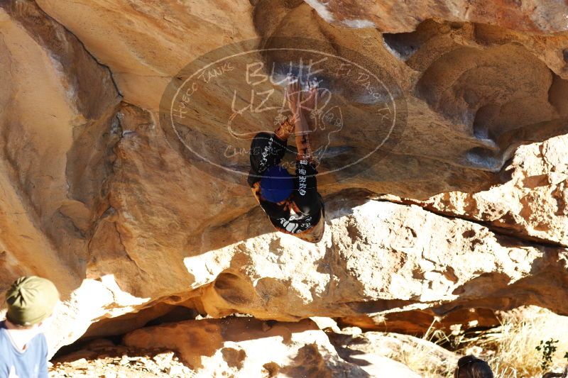 

Filename: SRM_20170104_1812450.jpg
Aperture: f/4.0
Shutter Speed: 1/500
Body: Canon EOS-1D Mark II
Lens: Canon EF 85mm f/1.2 L II